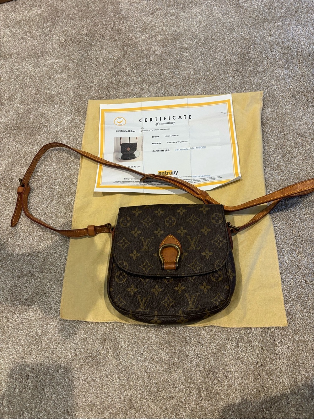 Louis Vuitton Monogram Saint Cloud Crossbody Bag - Picture 8 of 8